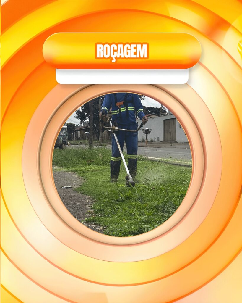 Foto 3 da publicação