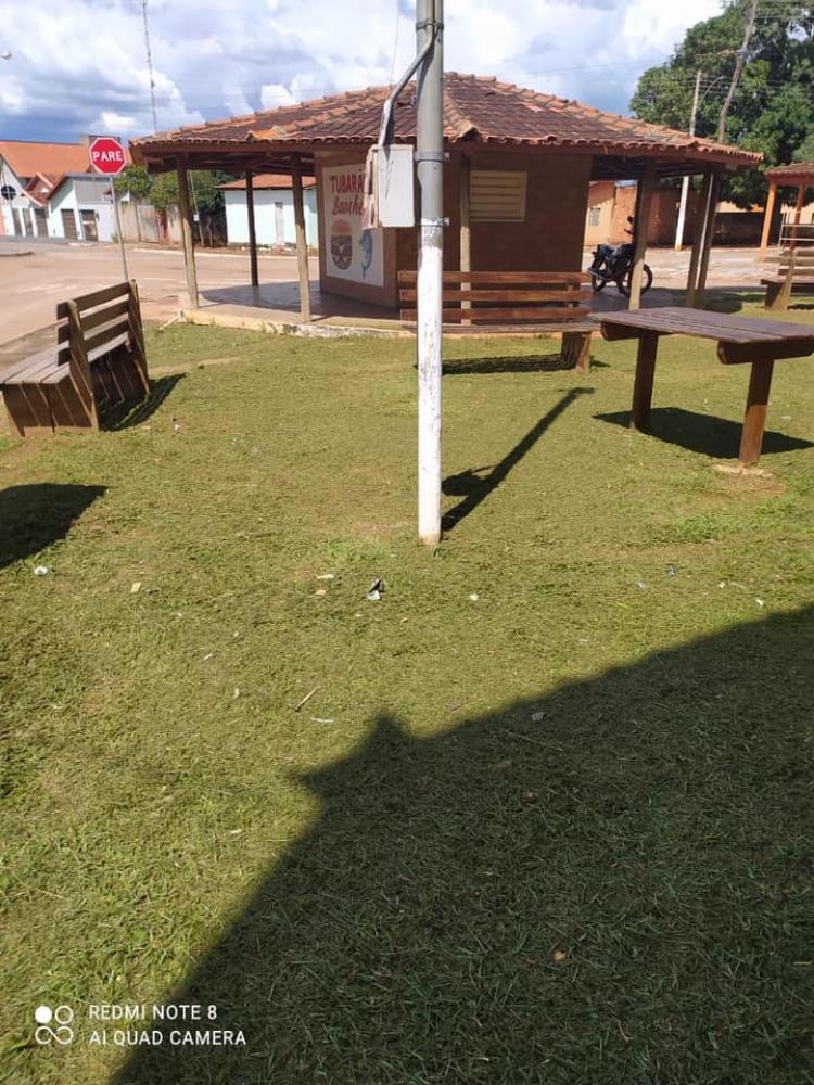 Foto 5 da publicação