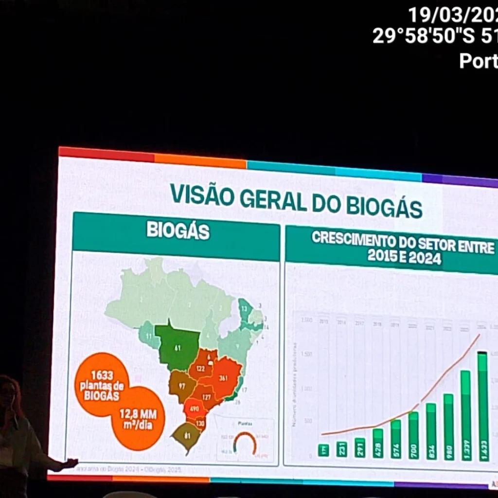 Foto 5 da publicação