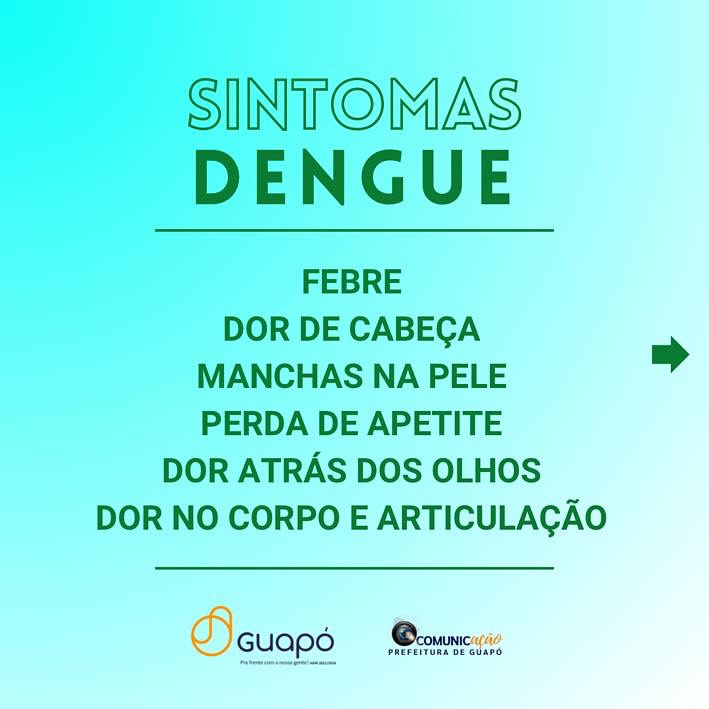 Foto 3 da publicação