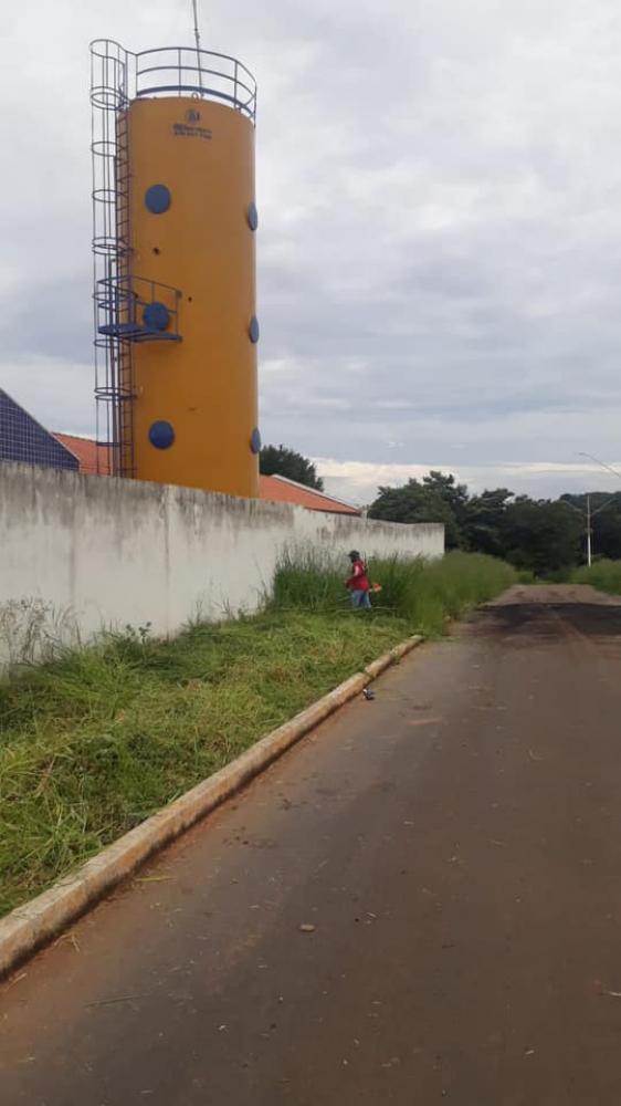 Foto 3 da publicação
