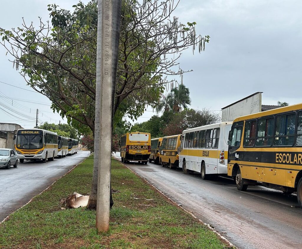 Foto 6 da publicação