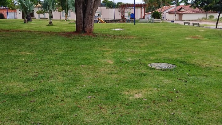 Foto 3 da publicação