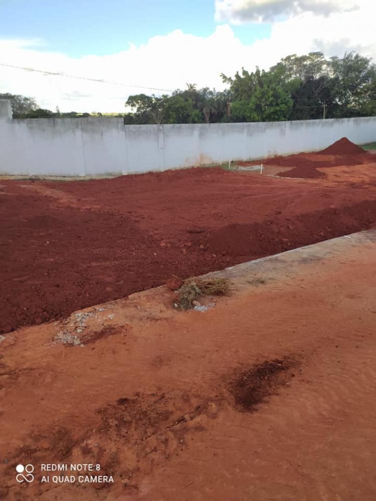 Foto 2 da publicação