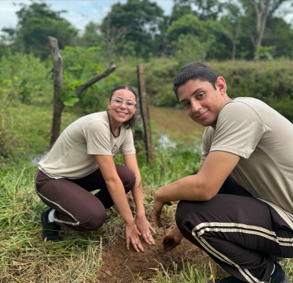 Foto 10 da publicação