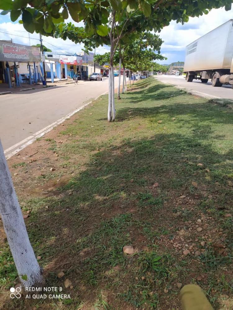 Foto 6 da publicação