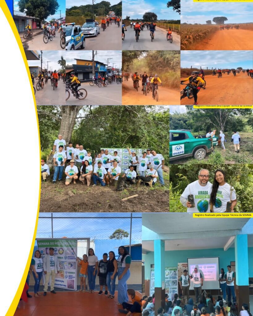 Foto 6 da publicação