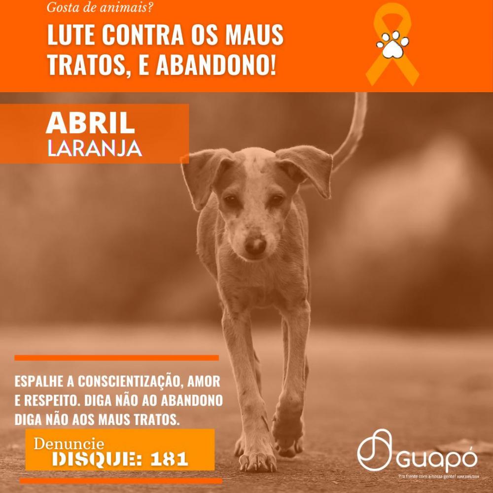 Foto 2 da publicação