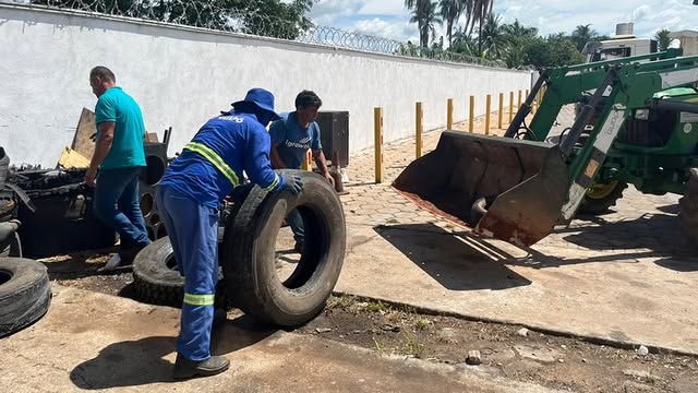 Foto 2 da publicação
