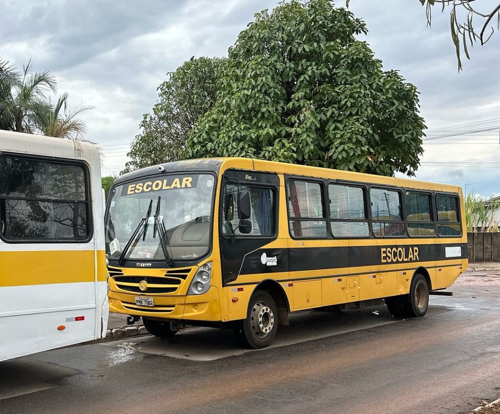 Foto 4 da publicação