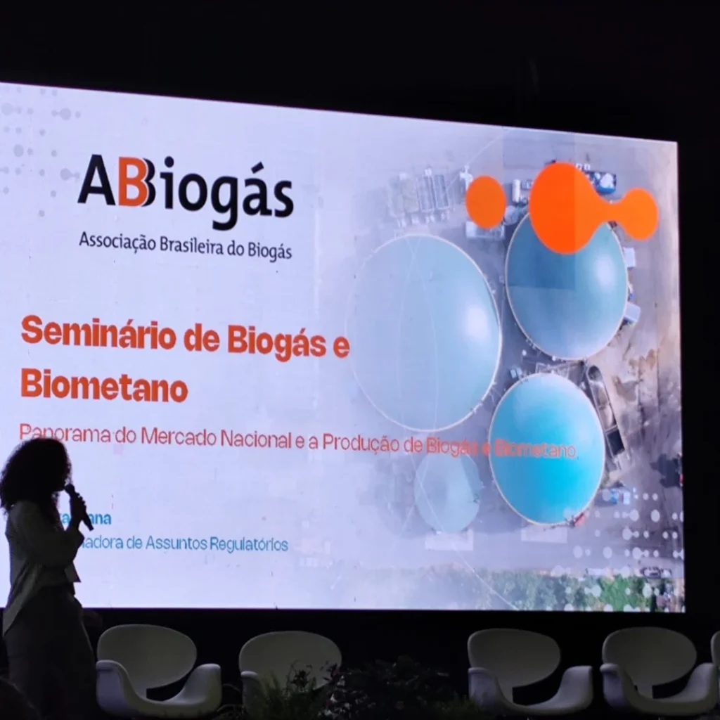 Foto 4 da publicação