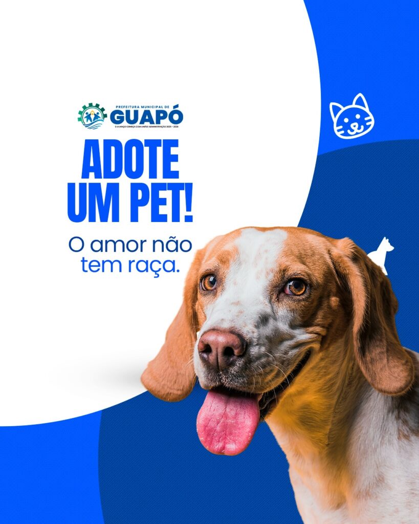 Foto 2 da publicação