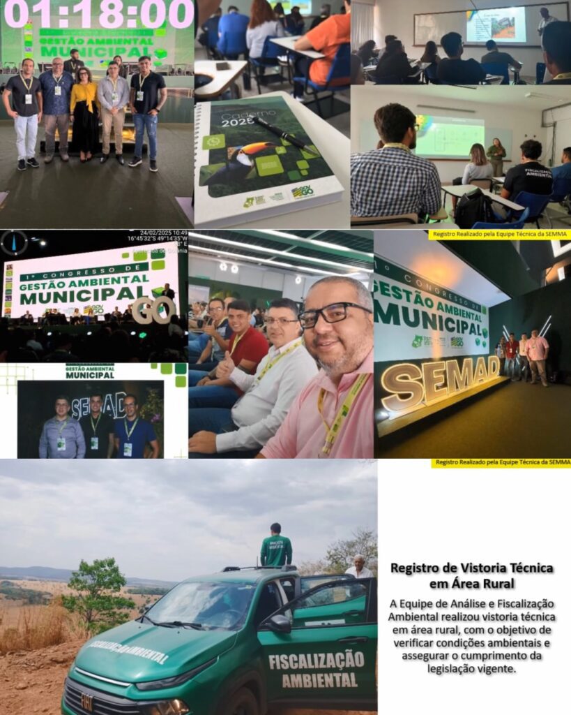 Foto 5 da publicação