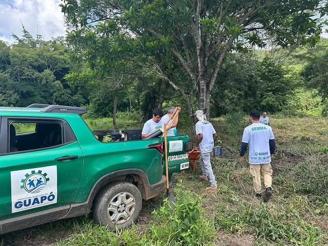 Foto 2 da publicação