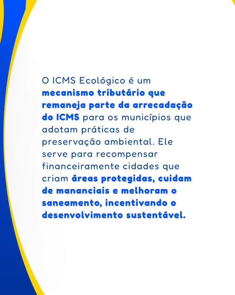 Foto 7 da publicação